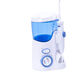 Универсальный ирригатор полости рта WP-100 E2 Ultra Waterpik (2980 ...