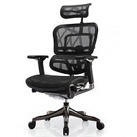 Кресло эргономическое компьютерное ERGOHUMAN PLUS COMFORT SEATING (сетчатое)