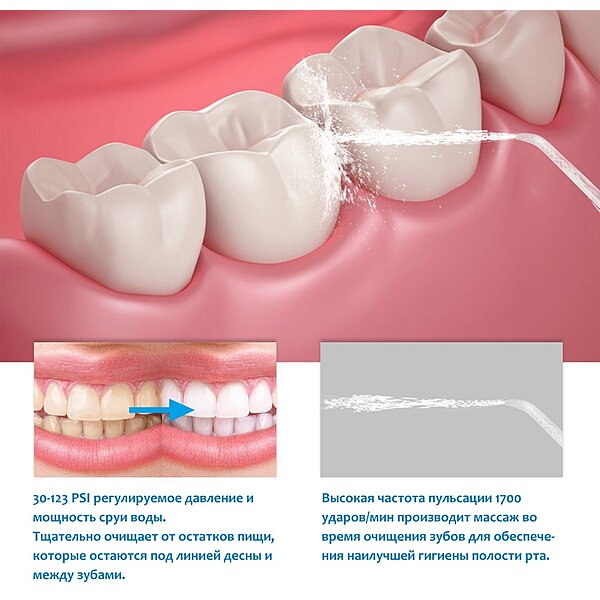 Іригатор Professional PECHAM black (Україна)