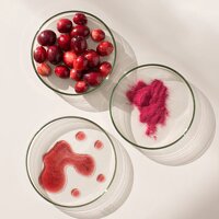 Cranberry New Nordic для мочевыводящих путей. табл. 30 шт. №2
