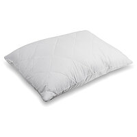 Подушка Vilena Classic 50х70х20 CMP210 Andersen
