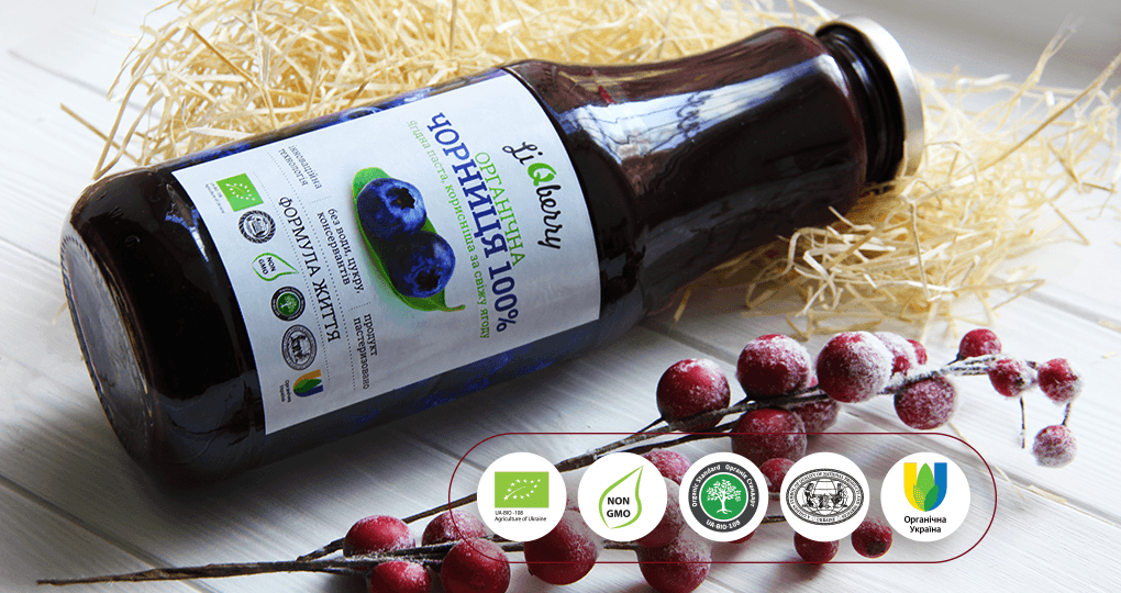 Черничная паста 1л LiQberry - купить черничную пасту LiQberry | Цена ...